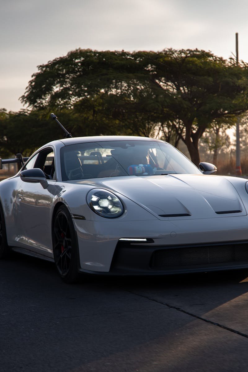 Sleek white sports car driving on a tree-lined road in Mexico at sunset.